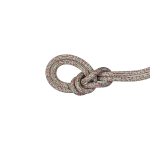 Mammut Crag We Care Classic 9.5mm Rope