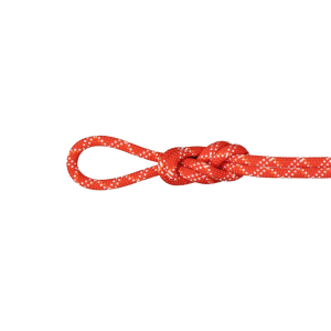 Mammut Gym Classic 9.5mm Climbing Rope