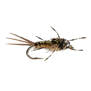 Rio Morrish Anato-May TB Fly