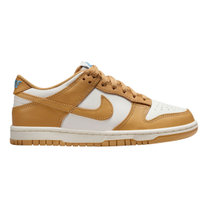 Nike Dunk Low Shoe - Youth
