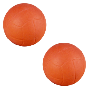STX FiddlesSTX Lacrosse Ball (2 Pack)