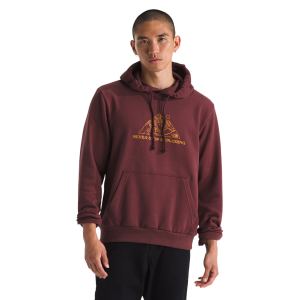 The North Face Evolution MTN Graphic Hoodie - Men's
