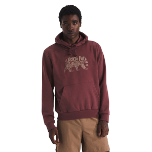 The North Face Evolution Bear Graphic Hoodie - Men's