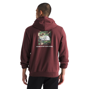 The North Face Evolution Box Camo Fill Graphic Hoodie - Men's