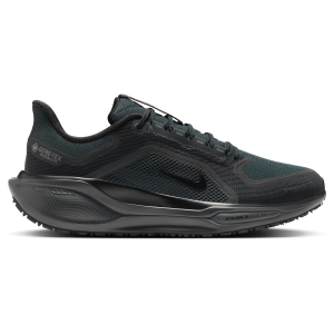 Nike Pegasus 41 GORE-TEX Running Shoe - Men's