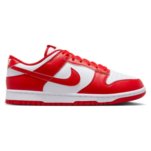 Nike Dunk Low Retro Shoe - Men's