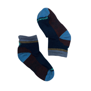 Smartwool Everyday Top Stripe Ankle Sock