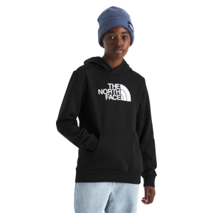 The North Face Teen Evolution Half Dome Pullover Hoodie - Boys'
