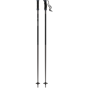 Atomic AMT SQS Ski Poles