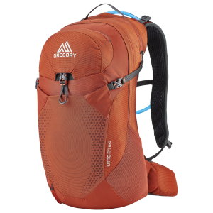 Gregory Citro 24 L Backpack
