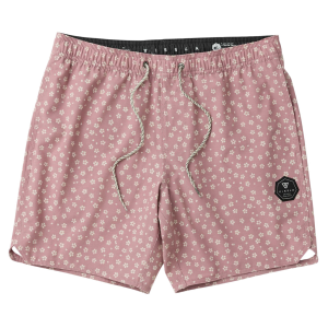 Vissla Vissla Bongos Ecolastic Swim Trunk - Men's - $42.99 at Als.com