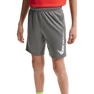Nike Nike Dri-FIT Trphy23 HBR Short - Boys' - $25.00 at Als.com