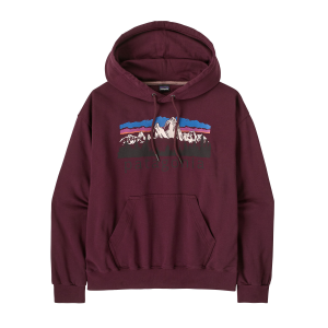 Patagonia Fitz Roy Foothills Daily Hoodie - Women's