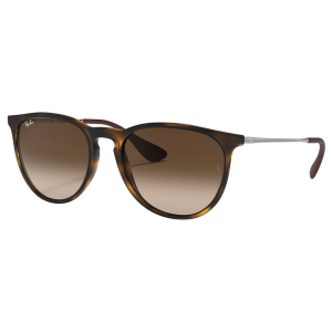 Ray-Ban Ray-Ban Erika Sunglasses - Women's - $176.00 at Als.com