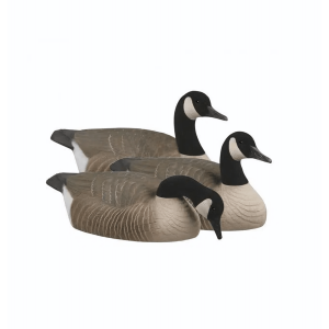 Avery Outdoors Avery Outdoors Canada Goose Shell Decoy - $219.99 at Als.com