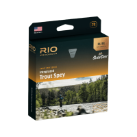 RIO Elite Integrated Trout Spey Yellow / Blue / Light Gray 5 Weight