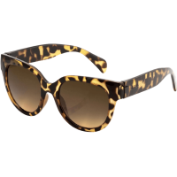 Carve Eyewear Vivian Sunglasses - Women's Gloss Tortoise / Brown Injectied Hydrophobic Polarized