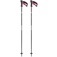 Salomon Angel S3 Ski Poles - Women's Fig 105 cm