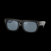 Carve Eyewear King Cobra Sunglasses Gloss Black Polarized