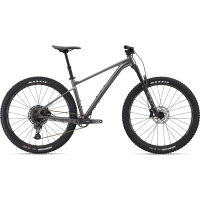 Giant Fathom 29 1 Bike - 2024