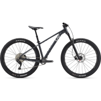 Liv Lurra 2 Trail Bike - 2024