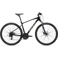 Giant Roam Disc 4 Bike - 2024