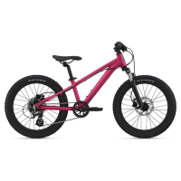 Liv STP 20 Front Suspension Liv Bike 2025 - Kids'