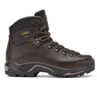 Asolo Tps 520 Gv Evo Hiking Boot - Men's