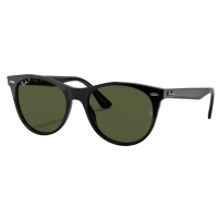 Ray-Ban Wayfarer II Evolve Sunglasses