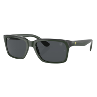 Ray-Ban RB4393M Sunglasses