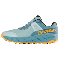 Icebug Arcus BUGrip GTX Shoe - Women's