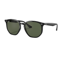 Ray-Ban RB4306 Sunglasses