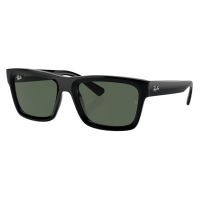 Ray-Ban Warren Sunglasses