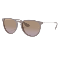 Ray-Ban Erika Classic Sunglasses