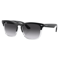 Ray-Ban Steve Sunglasses