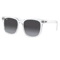 Ray-Ban RB4401D Sunglasses