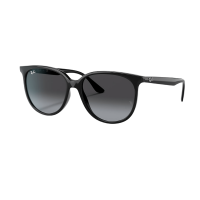 Ray-Ban RB4378 Sunglasses