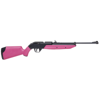 Crosman Pumpmaster .177 Pellet / BB Pneumatic Pump Air Rifle