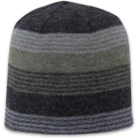 Pistil Chase Beanie