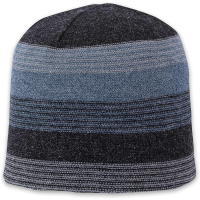 Pistil Chase Beanie