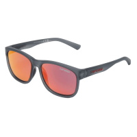 Tifosi Amok Sunglasses