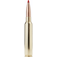 Hornady 300 Gauge PRC Cartridge