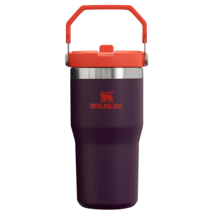 Stanley The IceFlow Flip Straw 20oz Tumbler 2024