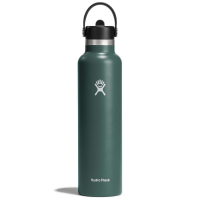 Hydro Flask 24oz Standard Mouth Flex Straw Cap Water Bottle 2024