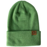 Spacecraft Otis Beanie Hat 2025 in Green | Acrylic