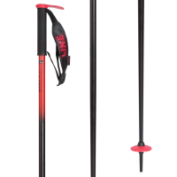 Line Skis Pin Ski Poles 2023 in Black size 90 | Aluminum