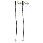 Fischer RC4 GS Ski Poles 2019