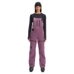 The North Face Ceptor Bib Womens Ski Pants 2022