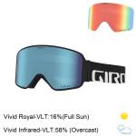 Giro Method Goggles 2022