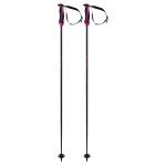 Volkl Phantastick Carbon Ski Poles 2022